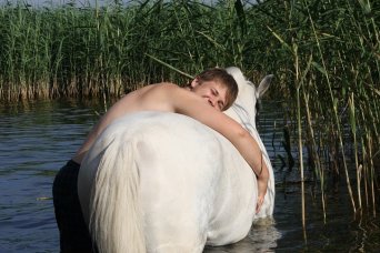 Описание изображения