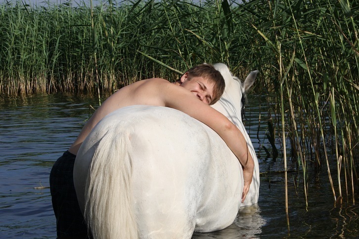 Описание изображения